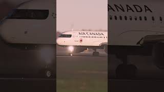 Plane spotting Air Canda A320 CYYZ landing planespotting aviation fs2020 aircanada landing [upl. by Asilenna841]