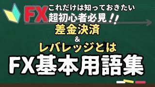 FX超基本用語集⑪差金決済＆レバレッジとは… [upl. by Annmarie880]