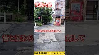 奄美大島 川沿いを歩く 裏道散歩 撮影９月18日 [upl. by Ddahc]