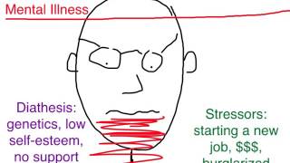 PTSD Diathesis Stress Model [upl. by Liatris]