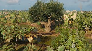 Royal Flora  Assassins Creed Origins  Papyri Puzzle [upl. by Lussi]