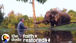 Rescued Elephant Has The Sweetest Reaction To Music  The Dodo Faith  Restored [upl. by Hamian]