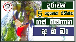 දරුවන් පස් දෙනෙක් රකින්න ගස් බඩගාන අම්මා  Aruma Puduma Roda 4 [upl. by Clein565]