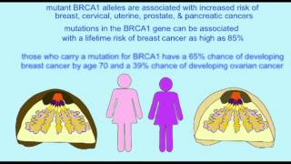 BREAST CANCER BRCA1 and p53 [upl. by Normi]