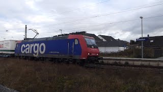 Bahnhof Bickenbach  Bergstraße 🚇 Nachmittag 📹 3122024 [upl. by Claiborn]