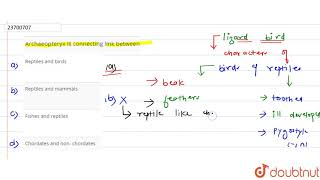 Archaeopteryx is connecting link between [upl. by Boehike405]