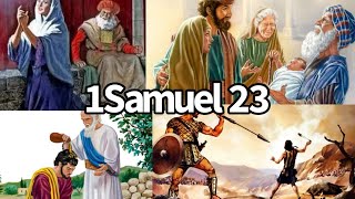 1Samuel 23 Español [upl. by Latnahs]