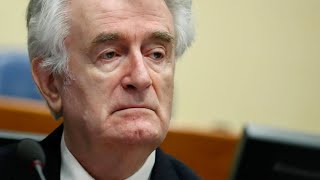 Lebenslange Haft für Radovan Karadžić [upl. by Carissa]