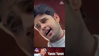 Yamini Yamini Video Song  Yai Nee Romba Azhaga Irukey Movie Songs  Shaam  Sneha  YTShorts [upl. by Damaris]