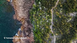 Discover the Incredible Tomaree Coastal Walk on Worimi Country  Tomaree National Park  NSWParks [upl. by Guendolen288]