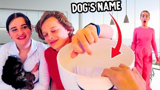 NAMING OUR NEW PUPPY OUT OF A HAT w the Norris Nuts [upl. by Oivat]