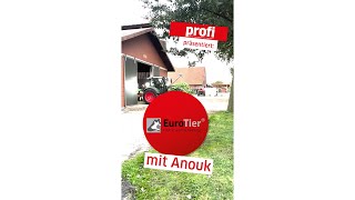 profi präsentiert EuroTier mit Anouk [upl. by Asirral132]