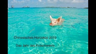 Chinesisches Horoskop 2019  Das Jahr des Erdschweins [upl. by Silrac765]