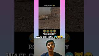 Bap saman billa😱😾 angvines bagad billa funny videos 😂 shorts yt bagadbilla [upl. by Anaed]