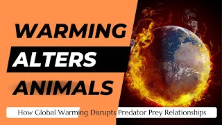 Ecosystems in Peril How Global Warming Disrupts Predator Prey Relationships [upl. by Vannie]