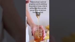 Give your immune system a powerful natural boost with Melipona honey [upl. by Pas]