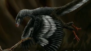 Interesting Facts About Archaeopteryx [upl. by Beacham]