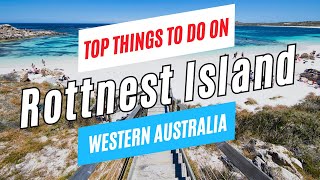 Top Things to Do on ROTTNEST ISLAND in ONE DAY Western Australia in 2024  Rottnest Travel Guide [upl. by Wendi884]