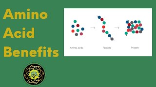 Benefits of Amino Acids Master Amino Pattern [upl. by Ashlee]