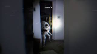 HorrorCore  3 horror liminalcore liminalspace creepypasta backrooms experimento96b [upl. by Arbua]