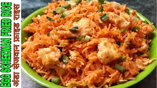 Egg Schezwan Fried Rice  How To Make Egg Schezwan Fried Rice  अण्डा सेजवान फ्राई राइस [upl. by Vookles]