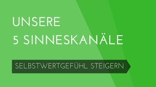 Unsere 5 Sinneskanäle  Selbstwertgefühl steigern 4 [upl. by Enyawad]