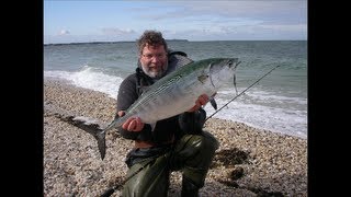 Surf Fishing for False Albacore [upl. by Norse]