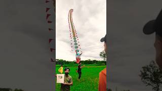 Dragon kite  Amazing kite kite manjha virar shorts tradingshots akgkite [upl. by Aerdnwahs855]