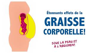 DÉTONNANTS effets de la graisse corporelle à connaître sous la peau ou à labdomen [upl. by Siva268]