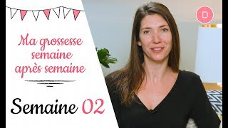 2ème semaine de grossesse – Le test de grossesse [upl. by Rez]