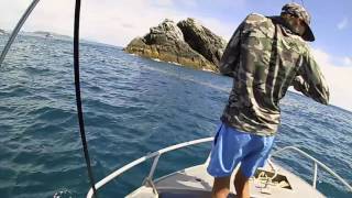 OFFSHORE REEF FISHING MACKEREL YEPPOON QLD [upl. by Eibrab]