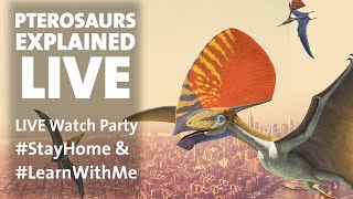 Pterosaurs Explained LIVE StayHome amp LearnWithMe [upl. by Yendys985]