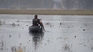 Duck Hunting 2016 Quebec [upl. by Nevad492]