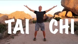 9 Tai Chi Moves  15 Minute Daily Taiji Routine  Amazing [upl. by Chaudoin]