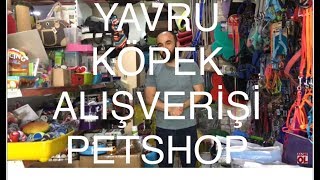 Yavru Köpek Alışverişi [upl. by Hal]