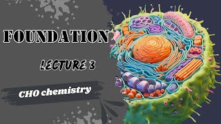 Biochemistry Lecture 3 Foundation module Disaccharides  Polysaccharides Dr Adham Saleh [upl. by Fisch269]