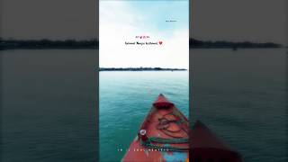 Pookale satru oyivedungal💓🌸love song❤️WhatsApp status❤️shortswhatsappstatuslovetamil ytyoutube [upl. by Latif]