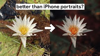 Portrait Mode on any iPhone  Improve Your Photos with Focos App  Day 3 [upl. by Venu]