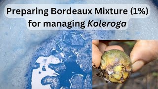 Preparation of 1 Bordeaux Mixture for prophylactic spraying to manage arecanut fruit rot koleroga [upl. by Eadahc]