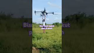 Uji coba drone pengangkut padi [upl. by Kciderf]