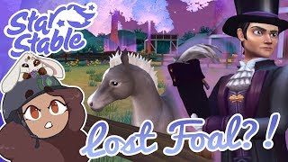 Ydris Found A Lost Foal 🐴🌟 Star Stable Horses [upl. by Bergen]