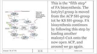 Biochemistry  20 Carbohydrate Biosynthesis in Plants and Bacteria  Flashcards [upl. by Atneciv]