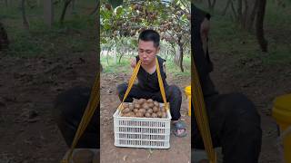 How Handicap Farmer Collect Fruits 🍎🥭🥹 shorts handicap fruit [upl. by Nohsram]