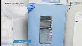 MicroFast® Yeast amp Mold Count Plate Operation Video [upl. by Judith]