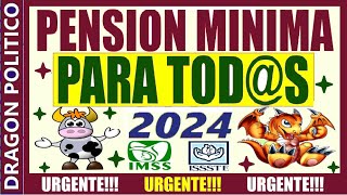 1167🔥PENSIÓN MÍNIMA PARA TODS 😃👍❤️👵👴❤️ pension noticias ayudasocial pagos [upl. by Clair563]