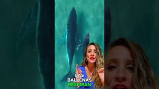 ¿La BALLENA es un PEZ lapizarradeana videoseducativosparaniños shorts [upl. by Anabel268]