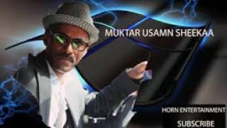 New oromo music Art Muktaar Usmaan  Gadoon gaafa gaafa [upl. by Wenger]