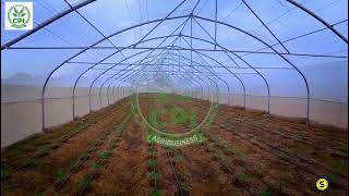 shaqada CPI Agribusiness ka qabatay Dugsiga Farsamada Gacanta ee Burco New Green houses [upl. by Dry]