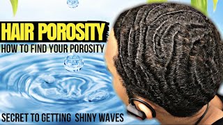 Hair Porosity for Natural 360 Waves Best Test To Find Your Porosity [upl. by Noeht812]