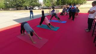 Surya Namaskar Spardha at Nutan Public School Vadodara organised for Vadodara Zone Level [upl. by Ahseel726]